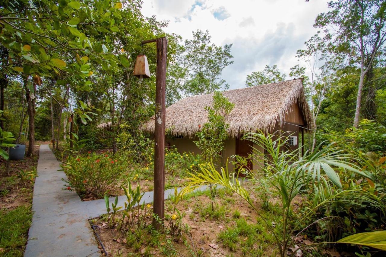 Amazon Turtle Lodge Careiro Exterior photo