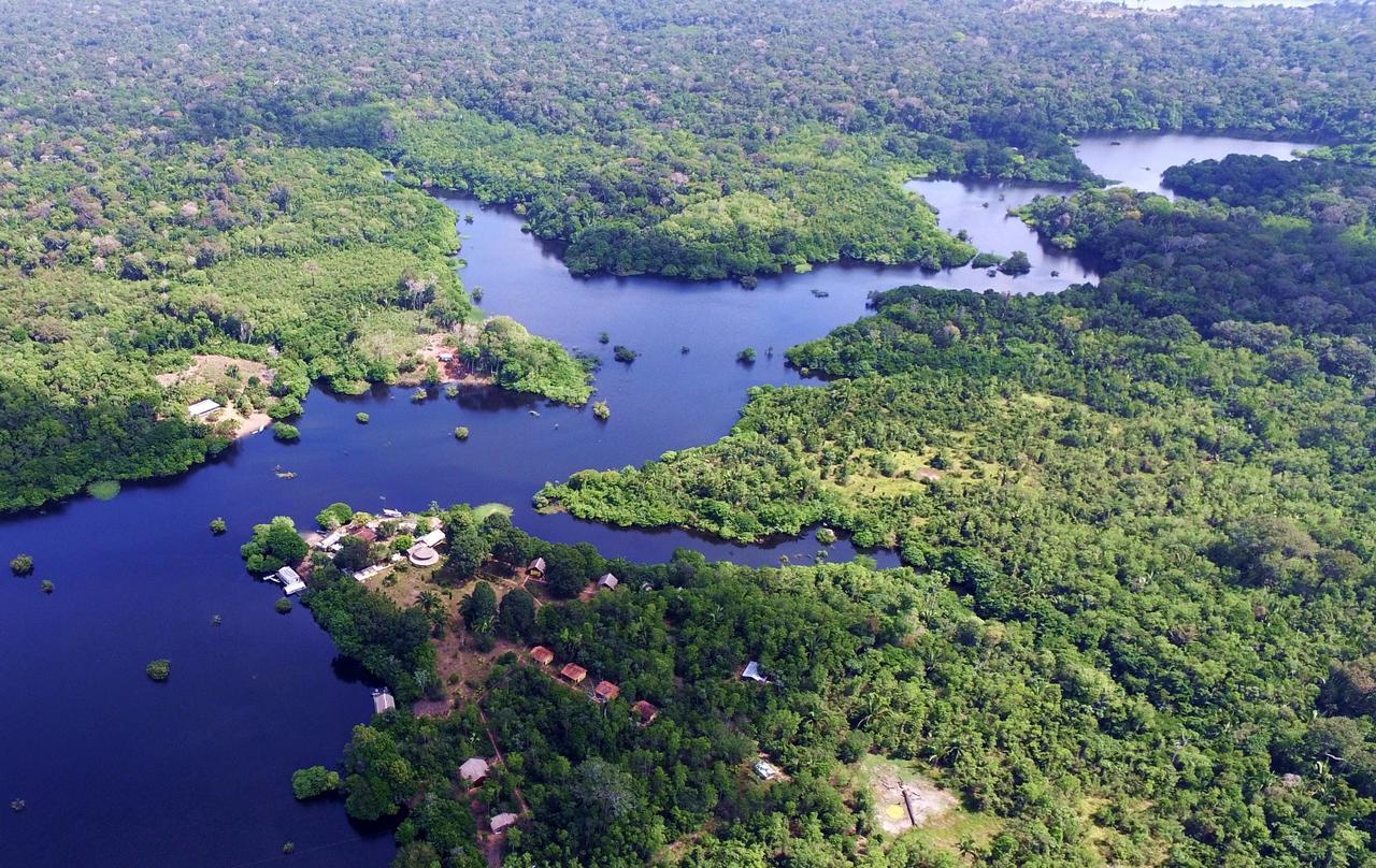 Amazon Turtle Lodge Careiro Exterior photo